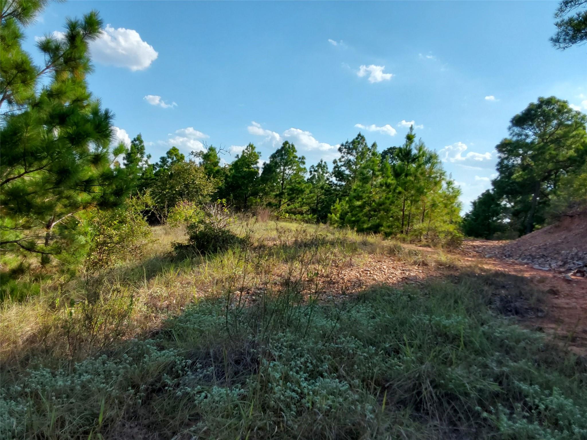 909 Hana Court St, Bastrop, TX 78602 — photo 1
