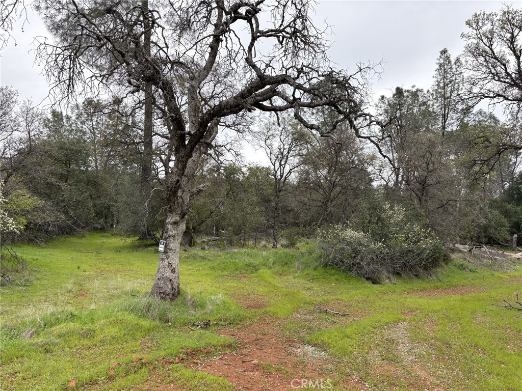 0 Highlands Boulevard, Oroville, CA 95966 — photo 1