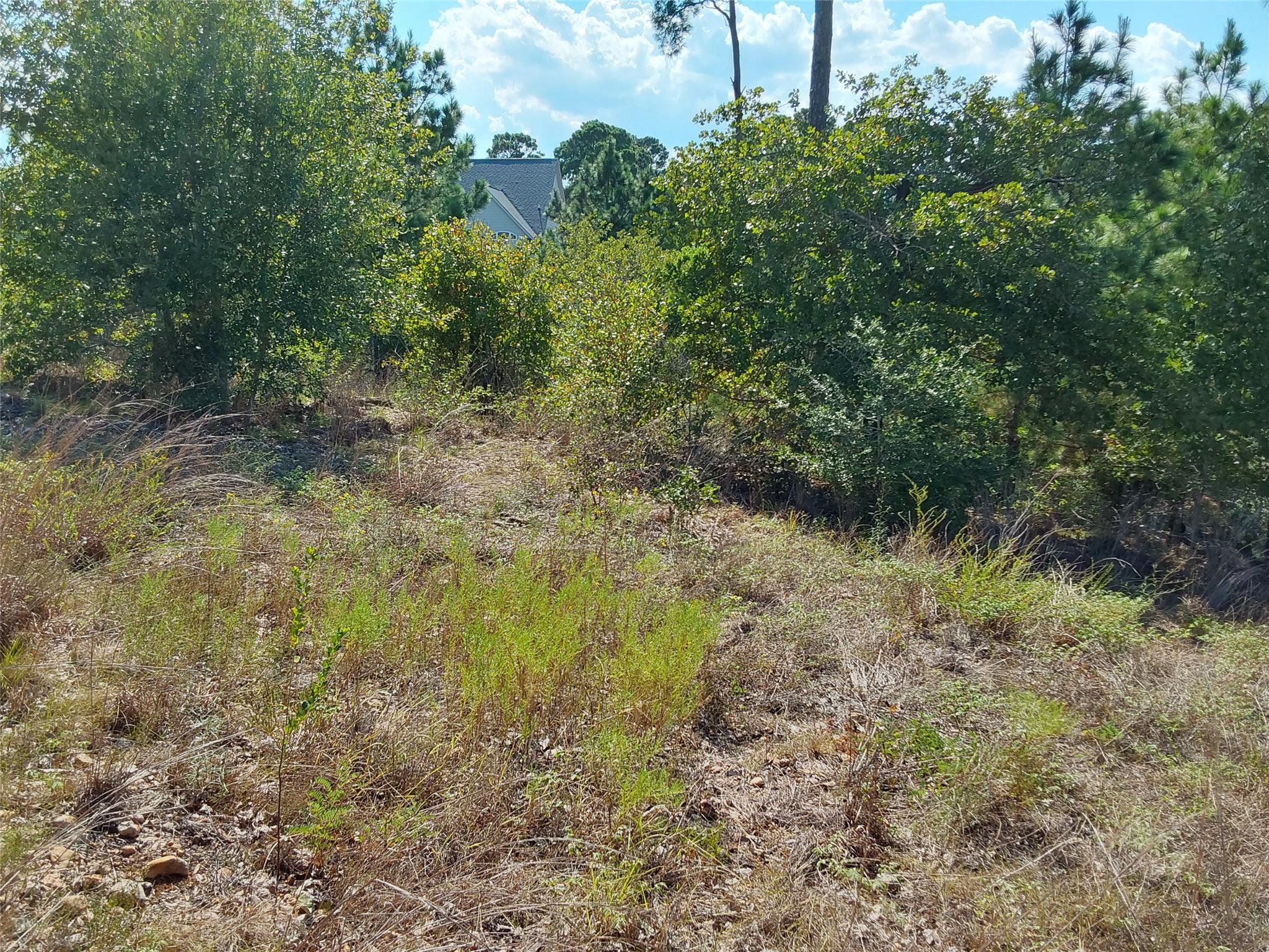 128 Mokalau, Bastrop, TX 78602 — photo 1