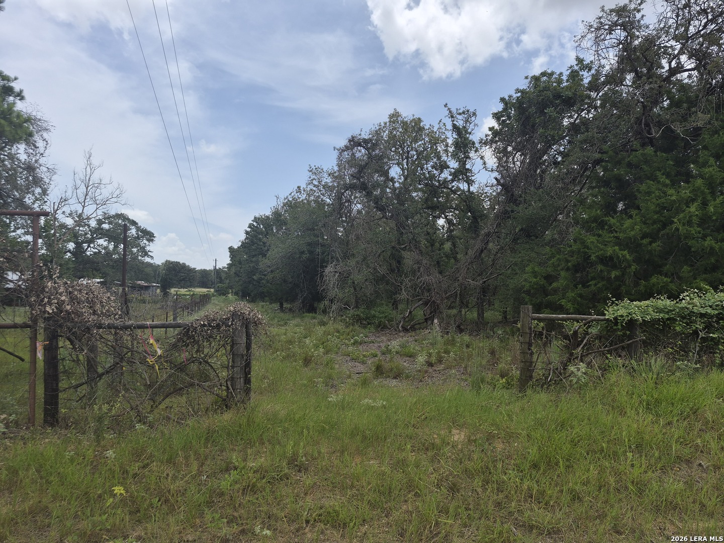 109 LONGHORN RD, ,  78160 — photo 1