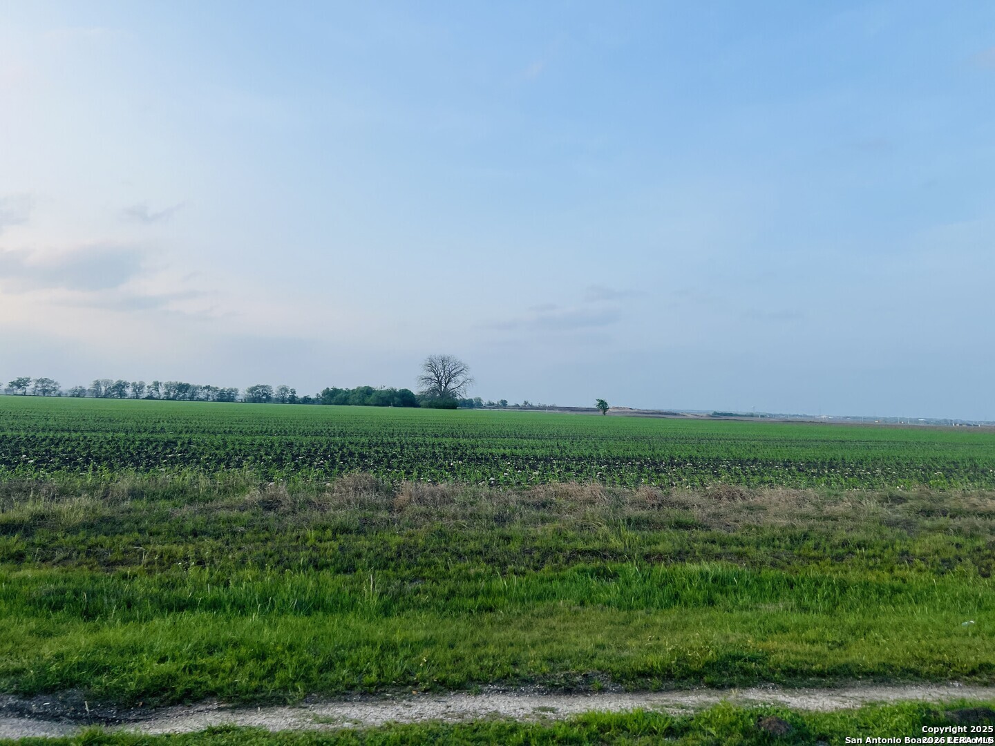 LOT 3 Lower Seguin, , 78124 — photo 1