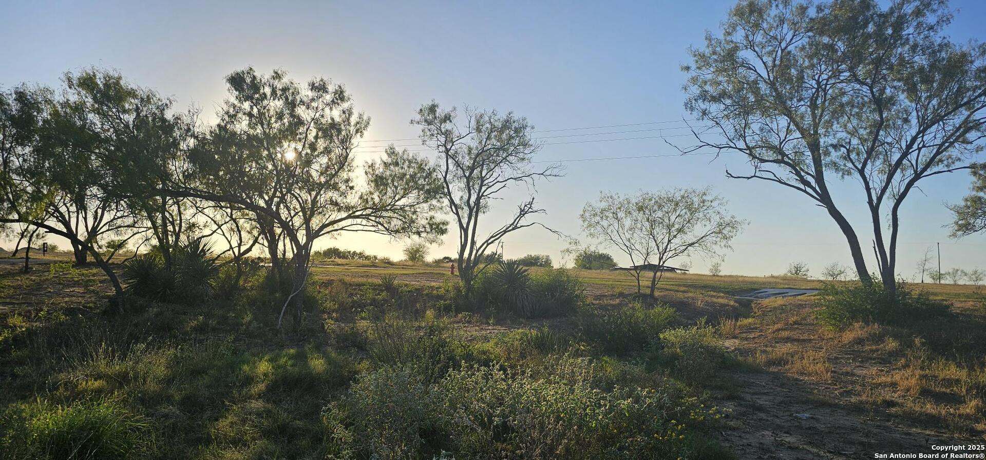 109 Sylas Hayes, Pleasanton, TX 78064 — photo 1