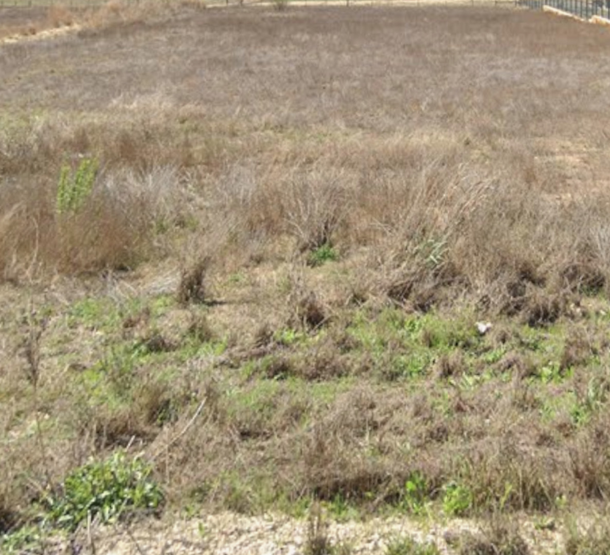 34721 Carries Creek, ,  78163 — photo 1