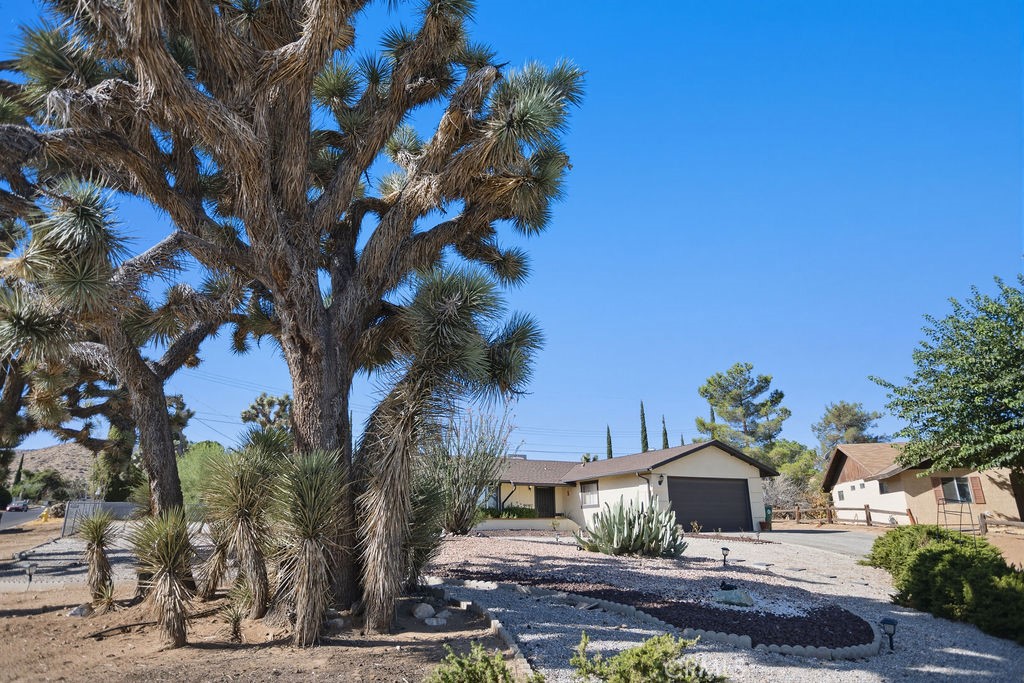 56347 Tamarisk Court, Yucca Valley, CA 92284 — photo 1