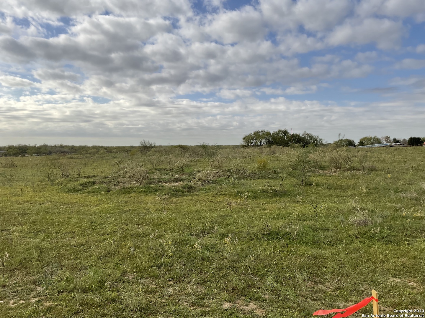 128 SYLAS HAYES LOOP, , 78064 — photo 1