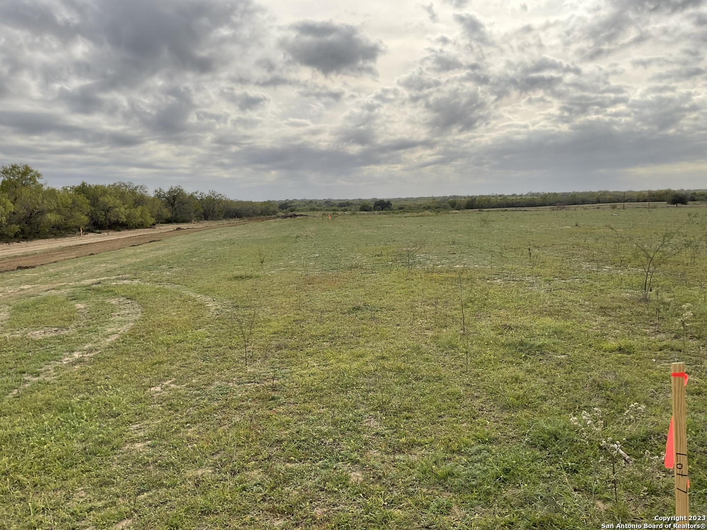 128 SYLAS HAYES LOOP, Pleasanton, TX 78064 — photo 1