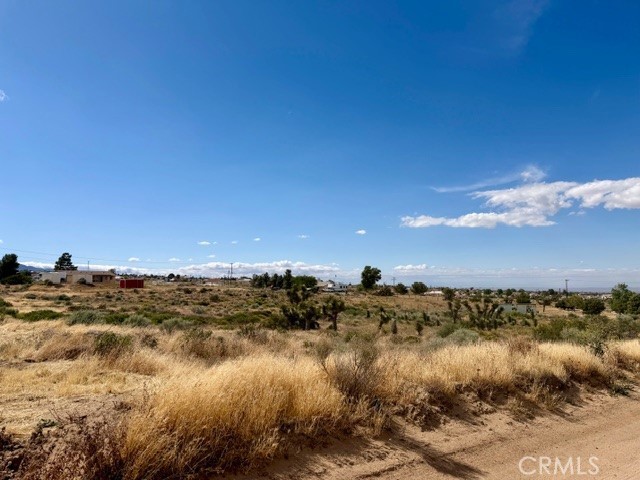 0 Ailanthus, Phelan, CA 92371 — photo 1