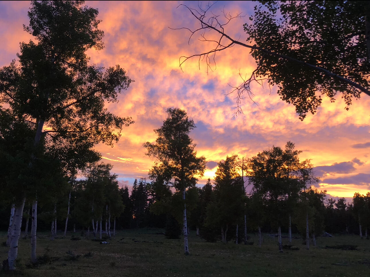 South of and Below Navajo Lake/N Fork R, 225 AC, Duck Creek Village, UT 84762