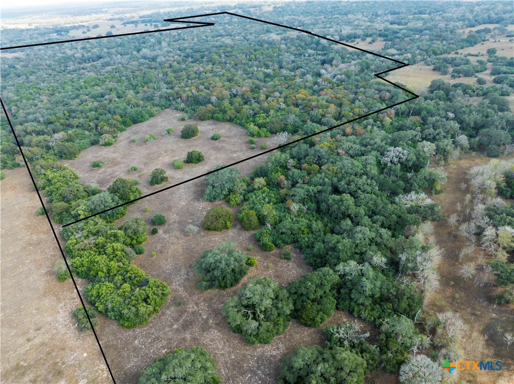 TBD County Road 12, Hallettsville, TX 77964 — photo 1