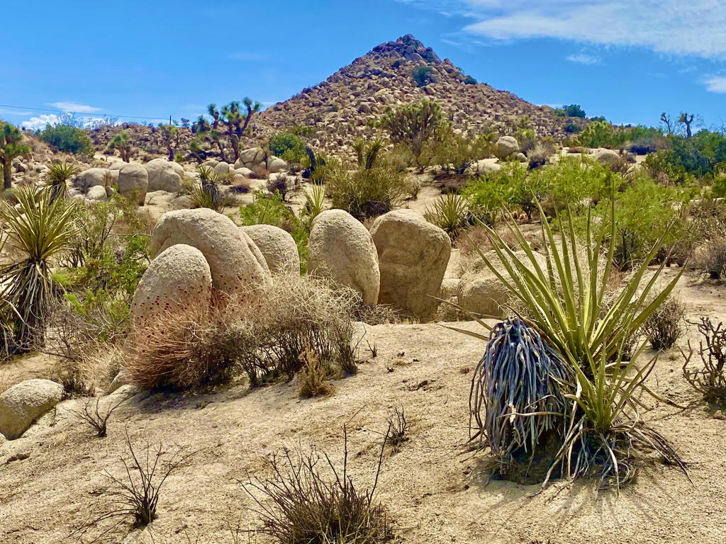 104 Bandera Road, Yucca Valley, CA 92284 — photo 1