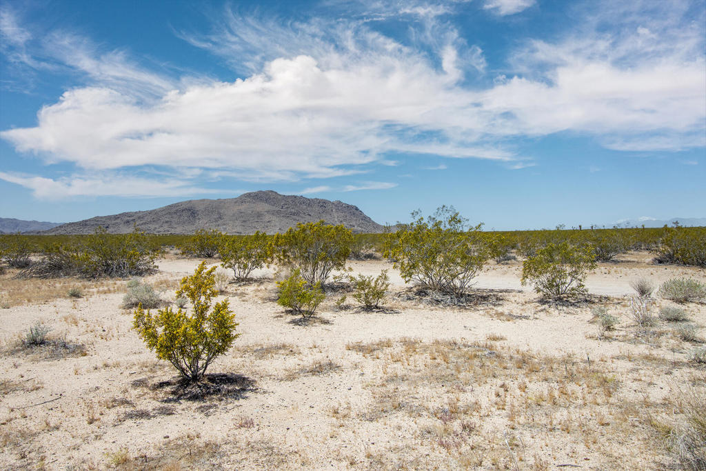 3375 Sunset Road, Joshua Tree, CA 92252 — photo 1