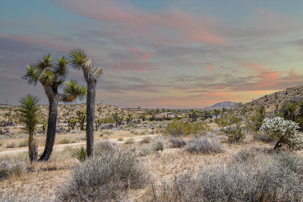 57823 Hilton Lane, Yucca Valley, CA 92284 — photo 1