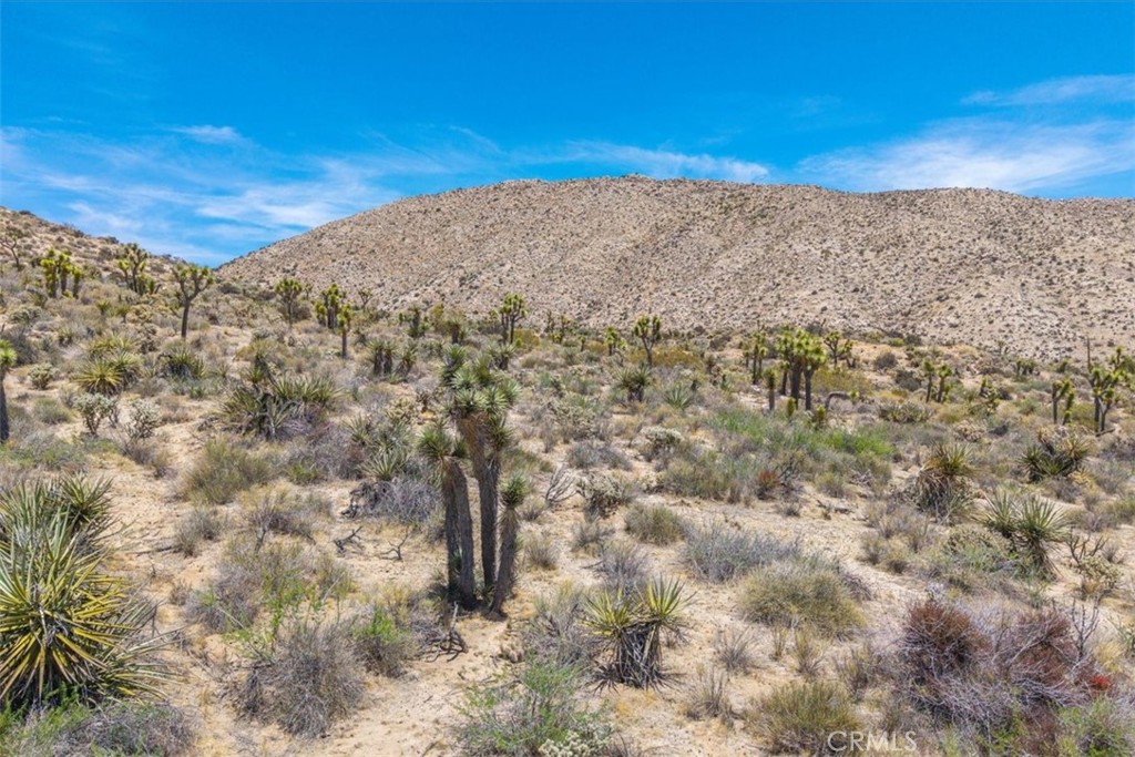 55652 Buena Vista Drive, Yucca Valley, CA 92284 — photo 1