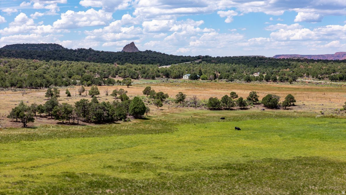 251 W HIGHWAY 12 ST, Grover, UT 84773 — photo 1