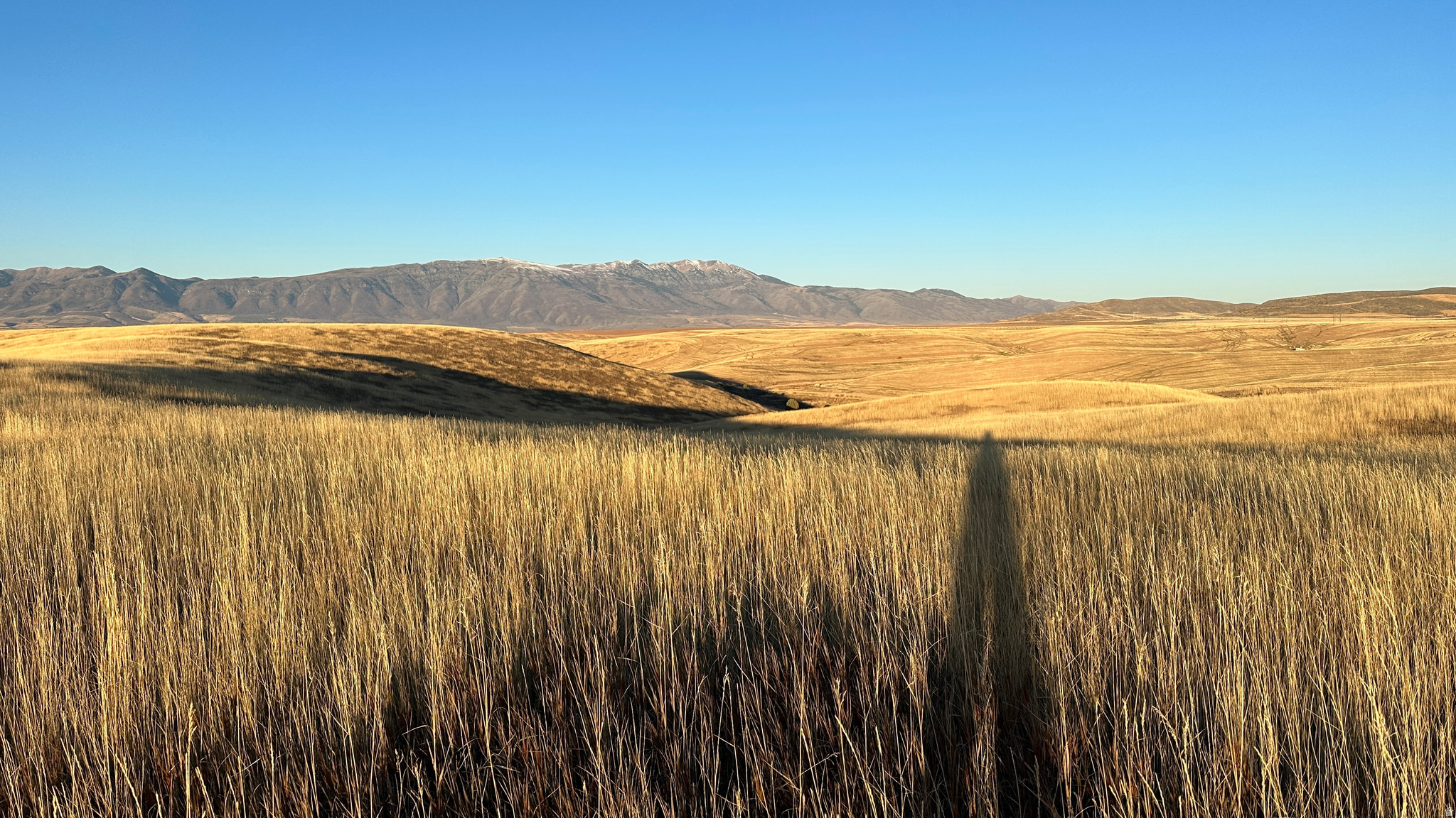 255 W MAIL ROUTE RD, Preston, ID 83263 — photo 1