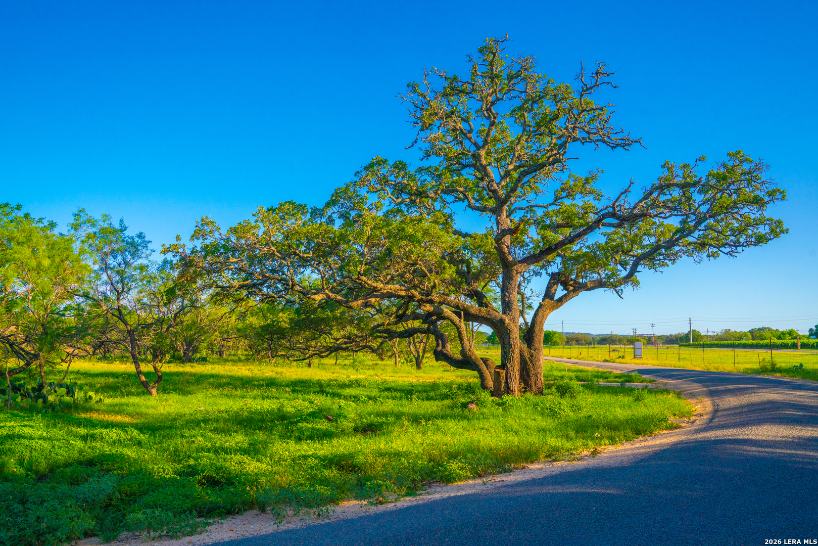 TBD Wine Trail Dr, ,  78636 — photo 1