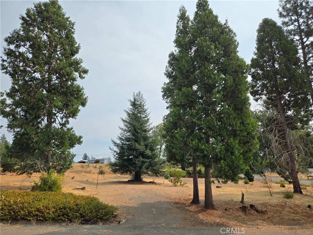 13549 S Park, Magalia, CA 95954 — photo 1