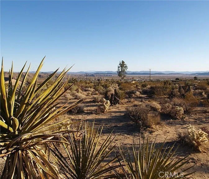 7275 Saddleback, Joshua Tree, CA 92252 — photo 1