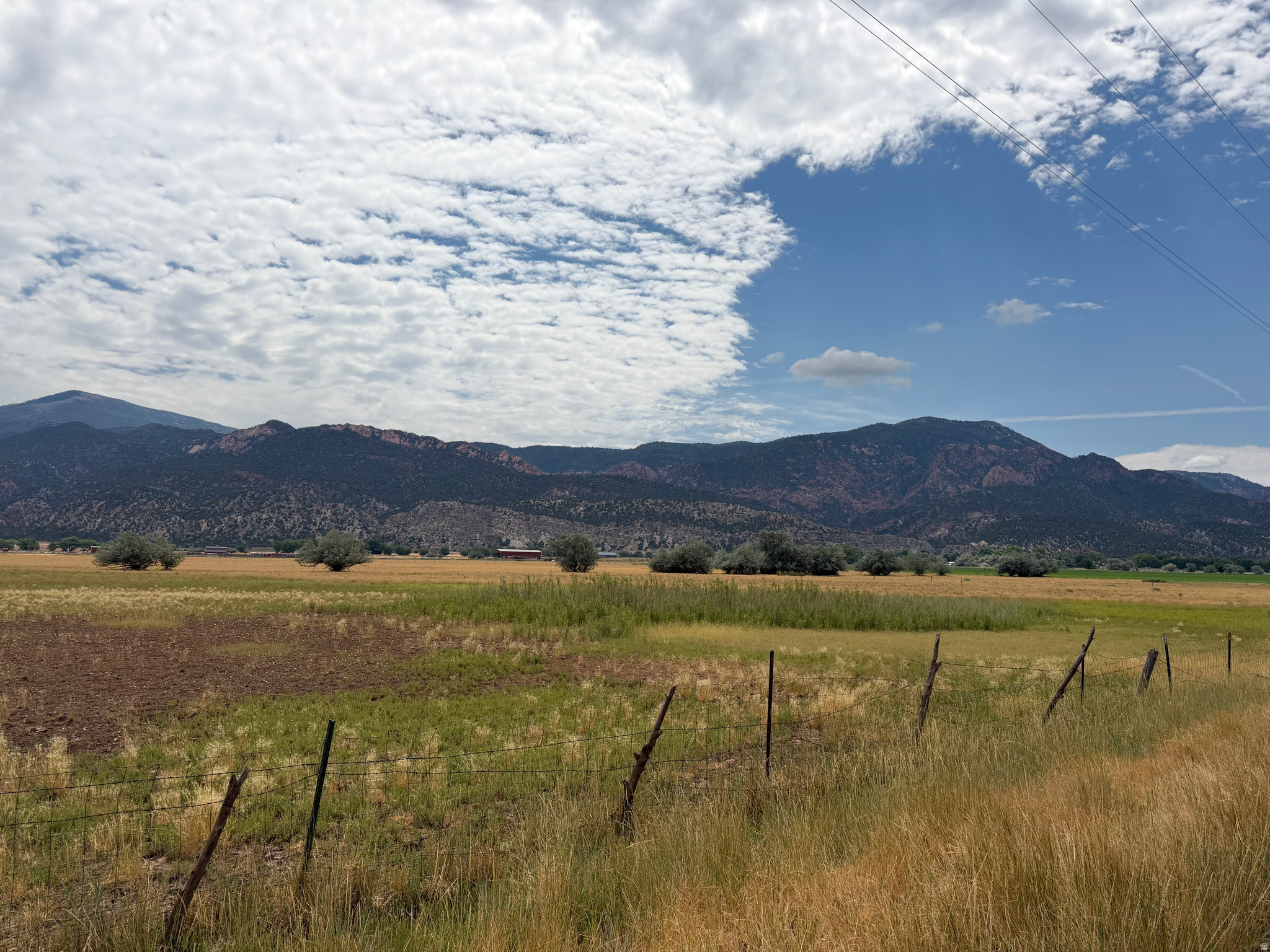 41  ACRES IN