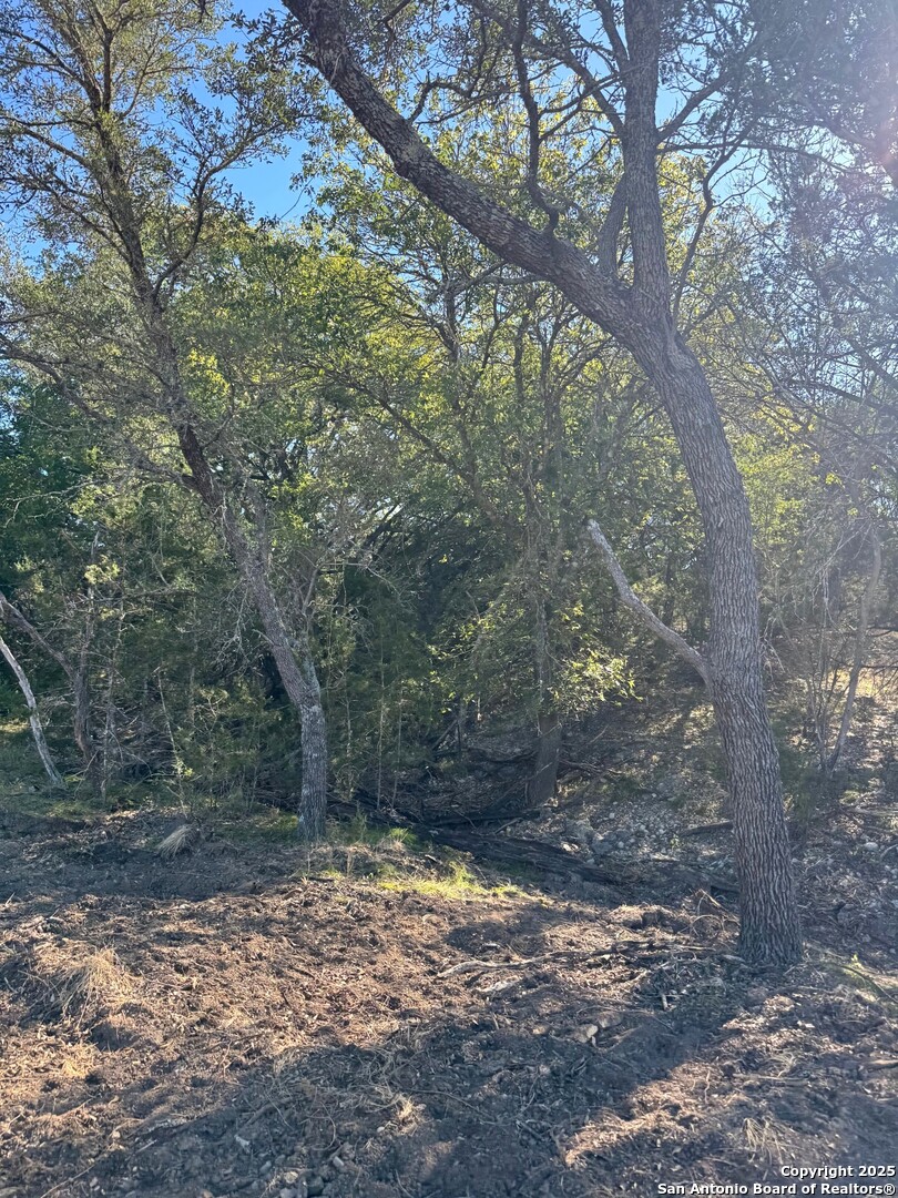 1234 FM 2828, Bandera, TX 78003 — photo 1