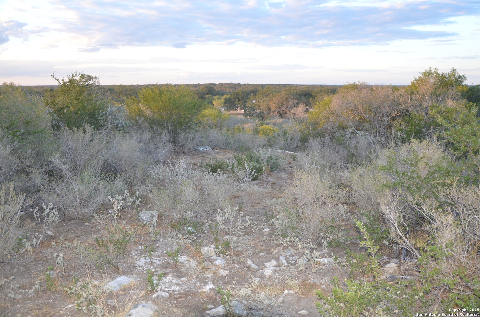 1219 County Road 761, ,  78016 — photo 1