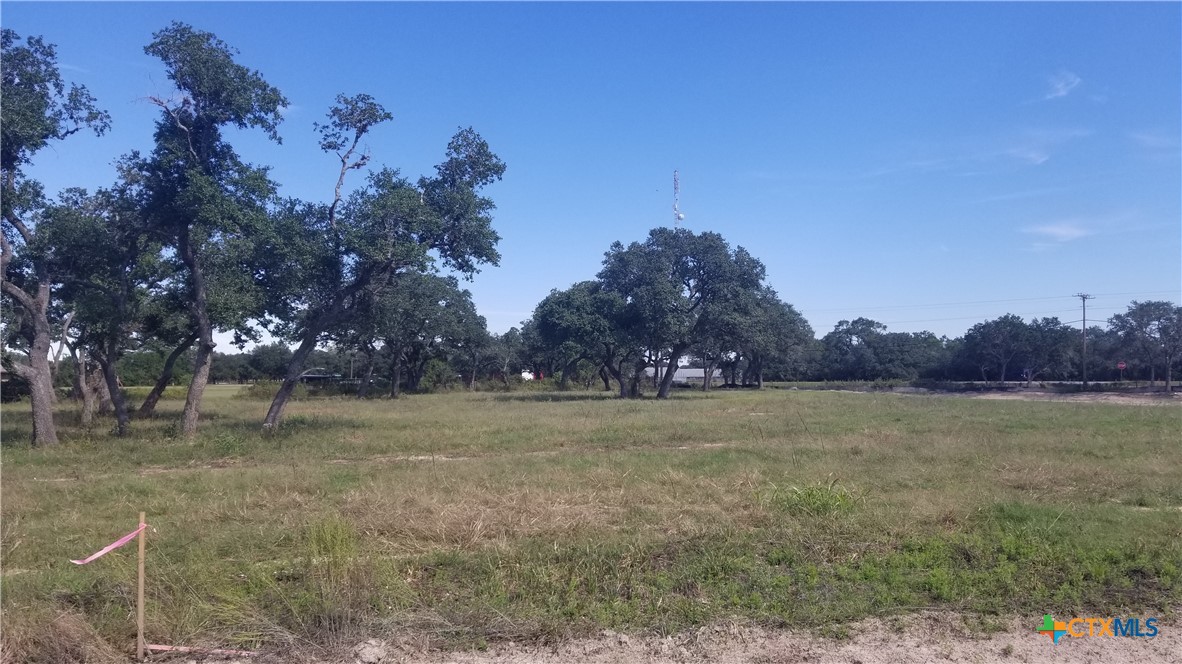 000 Enchanted Oaks, Inez, TX 77968 — photo 1