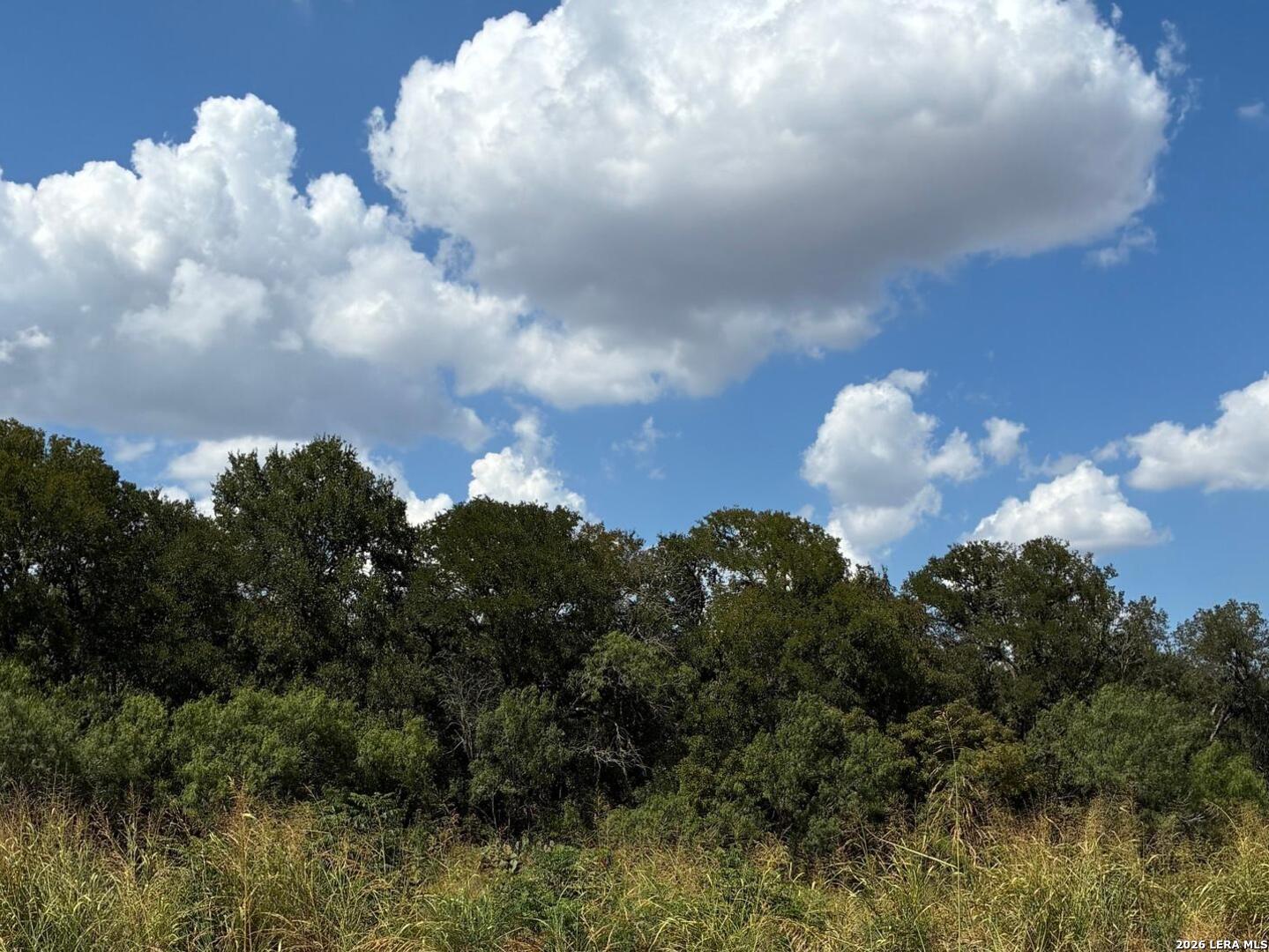 1886 US Highway 90, ,  78155 — photo 1