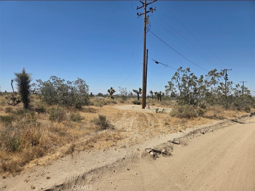 11524 Wintergreen Rd, Pinon Hills, CA 92372 — photo 1