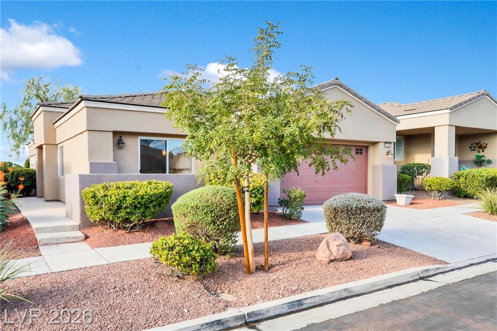 10529 India Hawthorn Avenue, Las Vegas, NV 89144 — photo 1