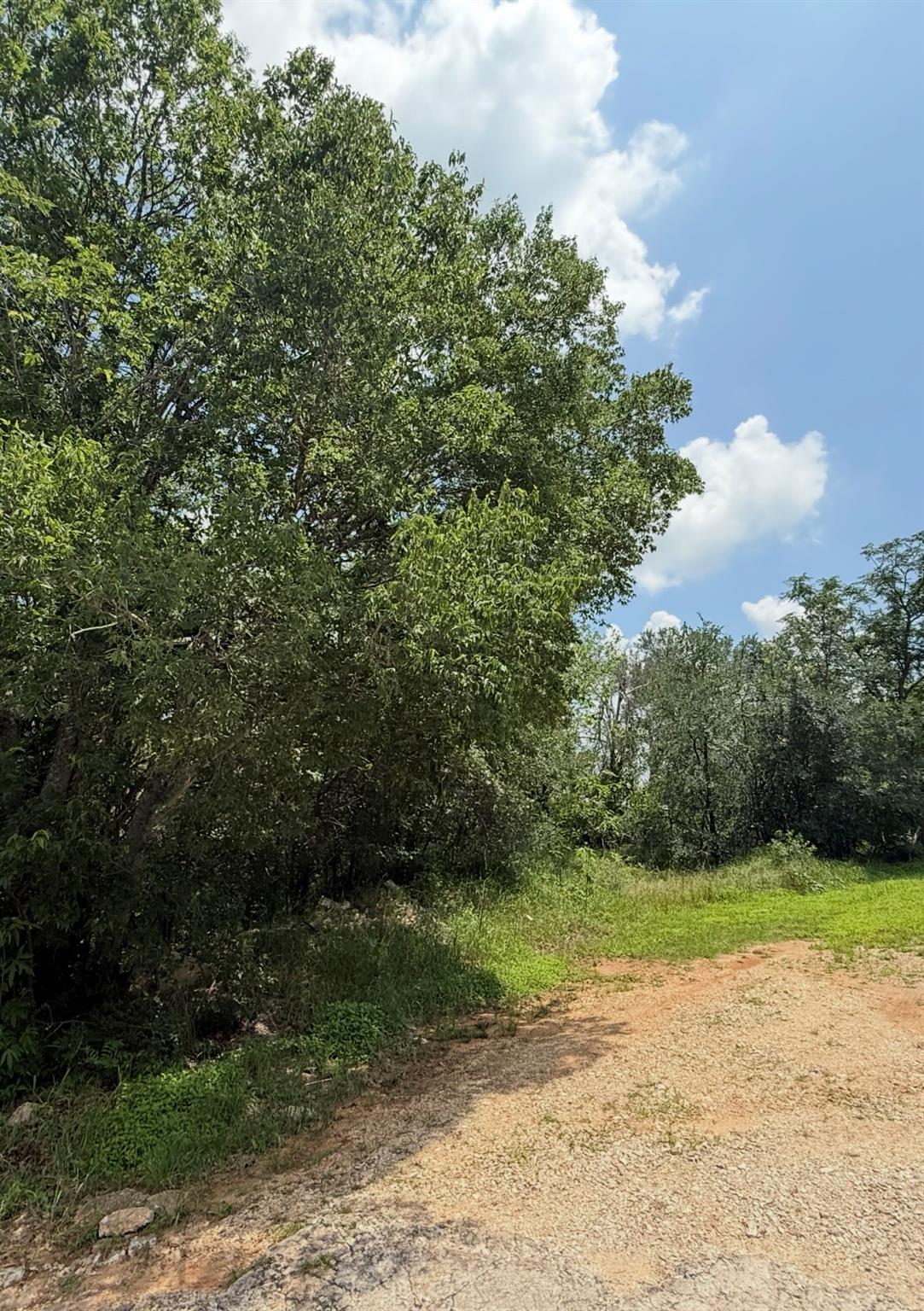 135 Jackson, Elgin, TX 78621 — photo 1