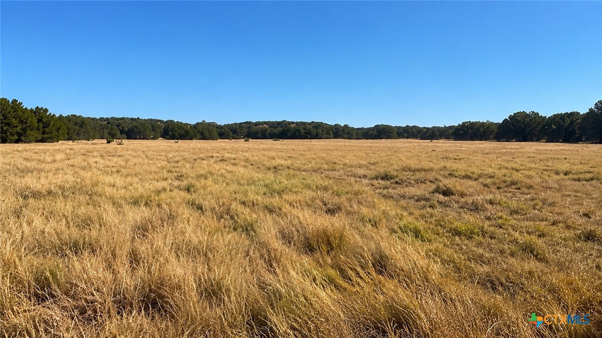 0 County Road 2659, Lometa, TX 76853 — photo 1