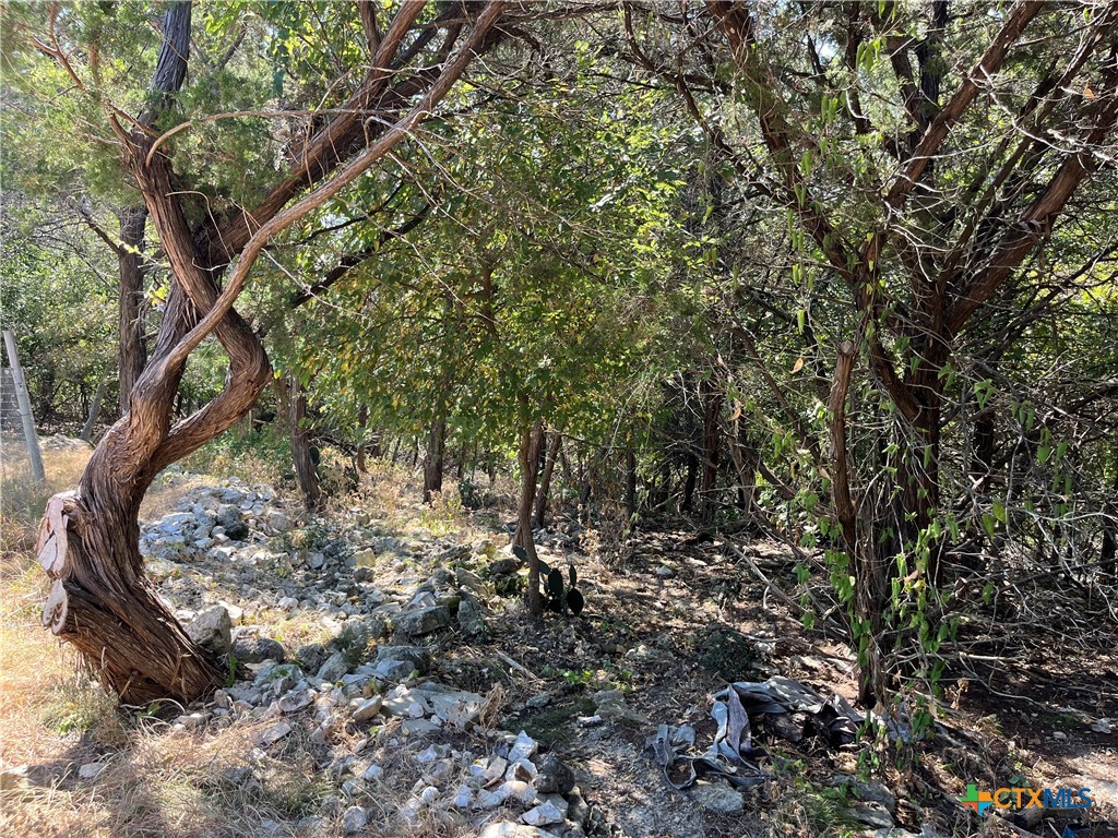 6692 Valley