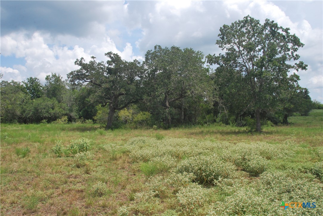 TBD Lot 24 State Highway 95