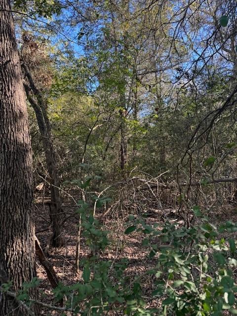125 Helemano, Bastrop, TX 78602 — photo 1