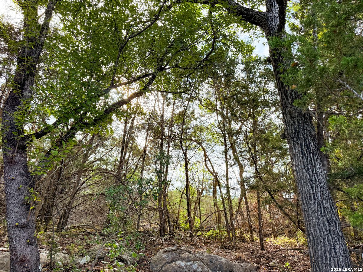 107 Camp Alzafar, ,  78006 — photo 1