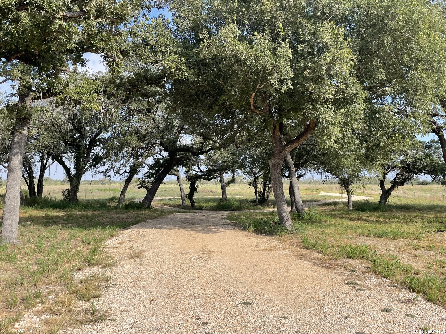 369 County Road 331, Floresville, TX 78114 — photo 1