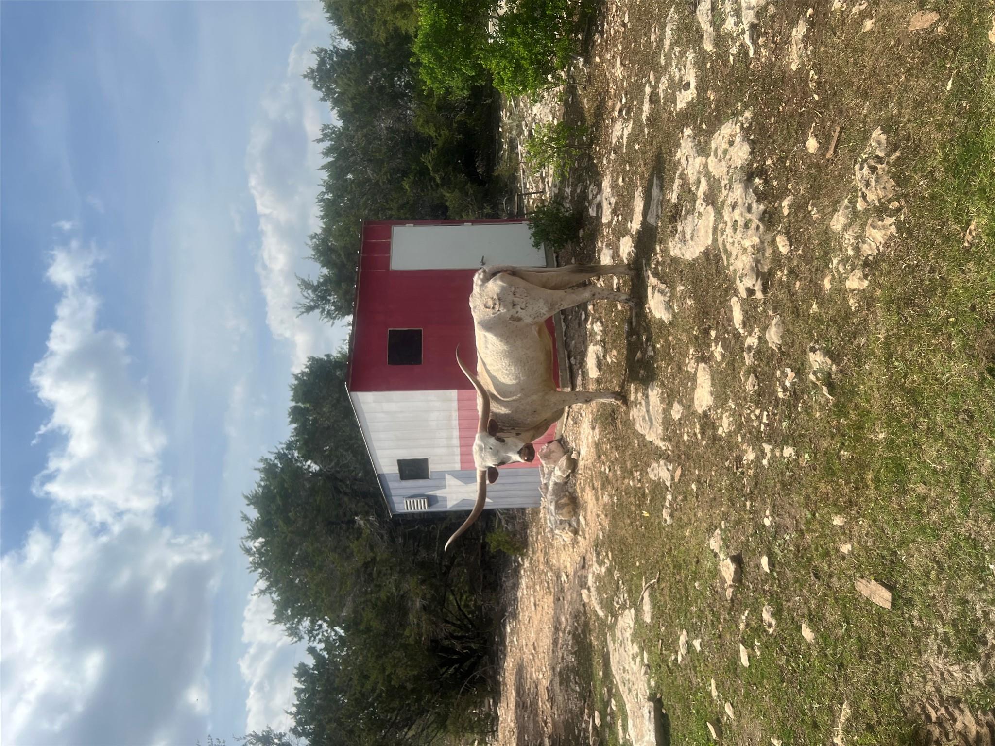 701 Grande, Driftwood, TX 78619 — photo 1