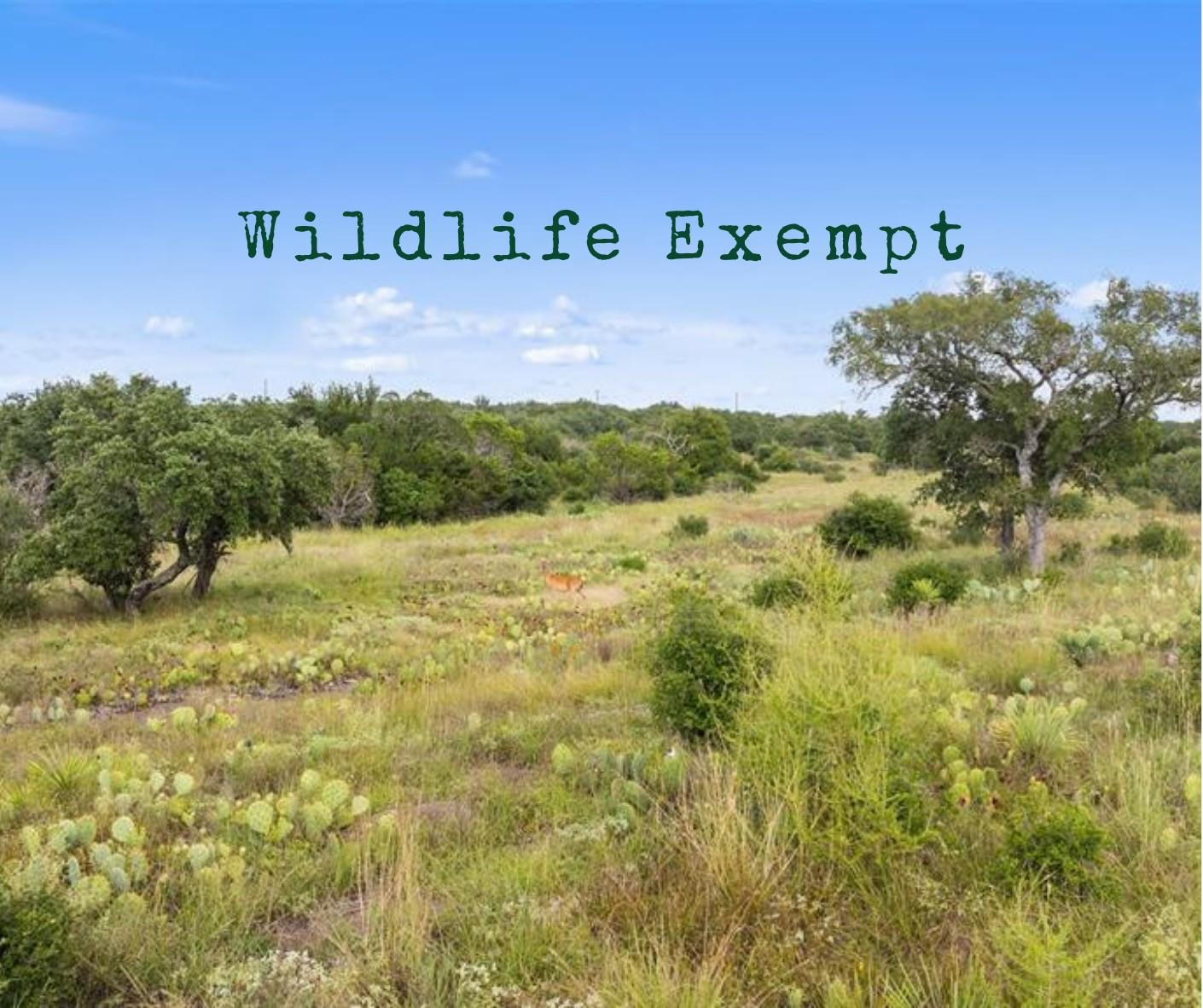 TBD RR 962, Round Mountain, TX 78663 — photo 1