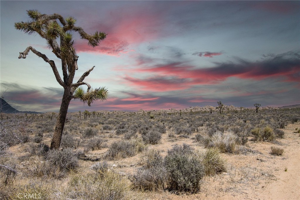 52552 Gamma Gulch, Pioneertown, CA 92284 — photo 1
