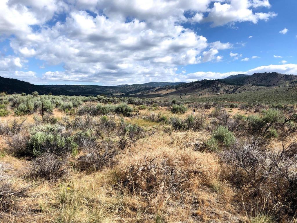 74 Dailey Court, Chilcoot, CA 96105 — photo 1