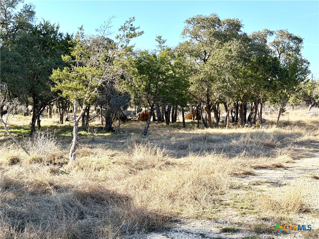 1358 county Road 233