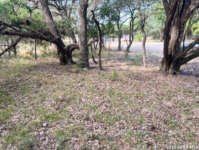TBD Lakepark, ,  78063 — photo 1