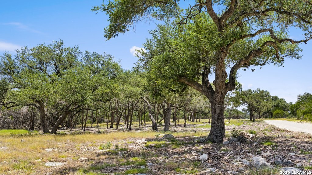 TRACT 5 Cypress Cove, Spring Branch, TX 78070 — photo 1