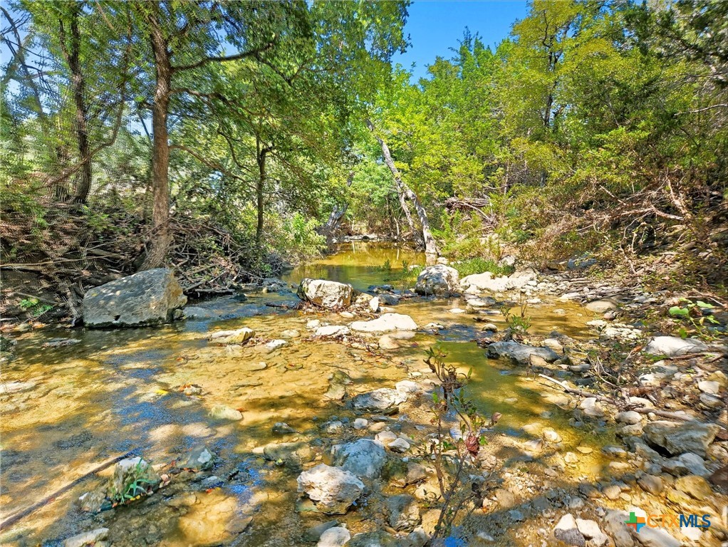 TBD-176 Acres FM 116 Road, Gatesville, TX 76528 — photo 1