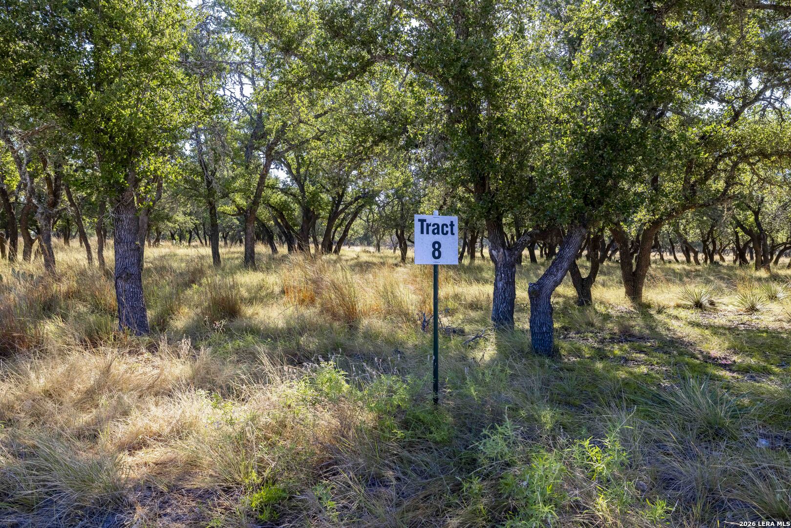 TBD Legacy Oaks Dr., Harper, TX 78631 — photo 1