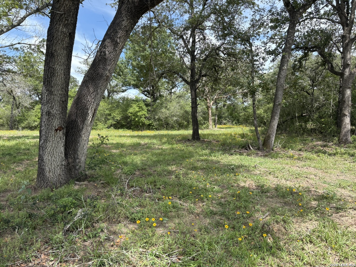 69 Powder Ridge, Luling, TX 78648 — photo 1