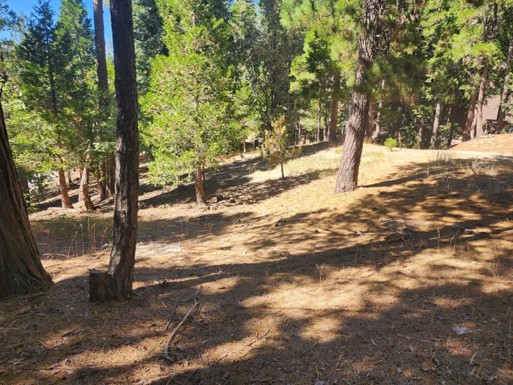 0 Grass Valley, Lake Arrowhead, CA 92352 — photo 1
