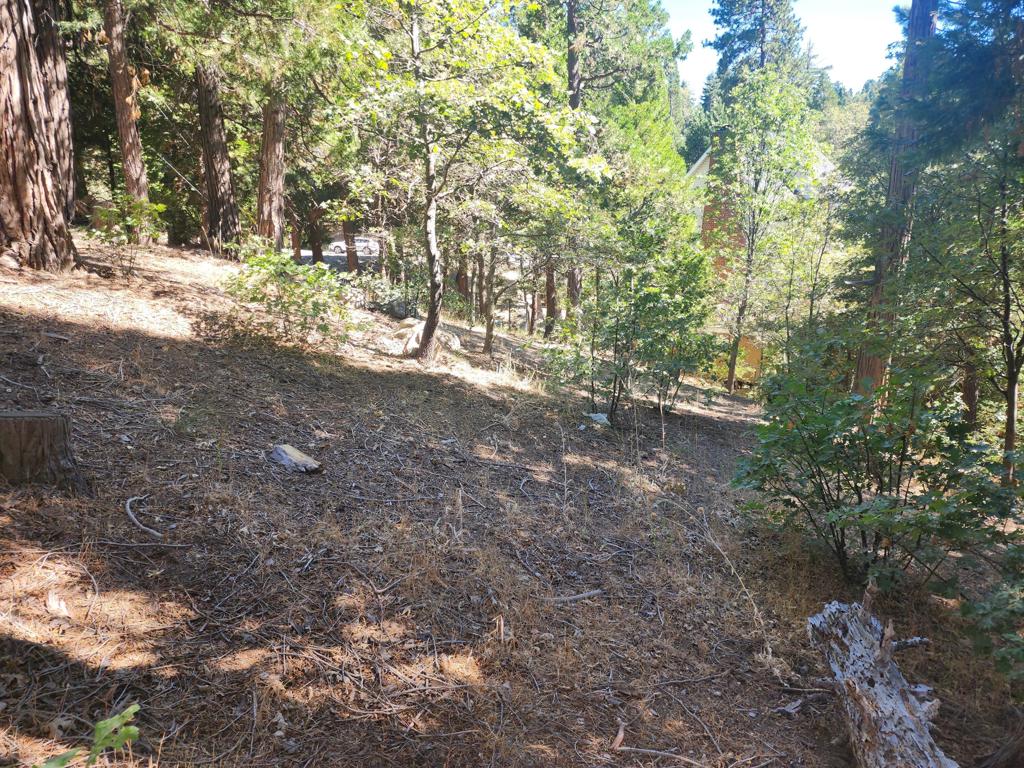 0 Grass Valley, Lake Arrowhead, CA 92352 — photo 1