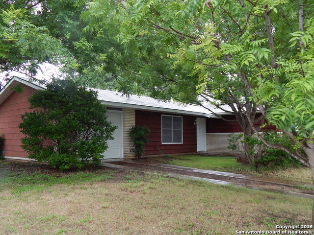 4103 Tropical, , 78218 — photo 1