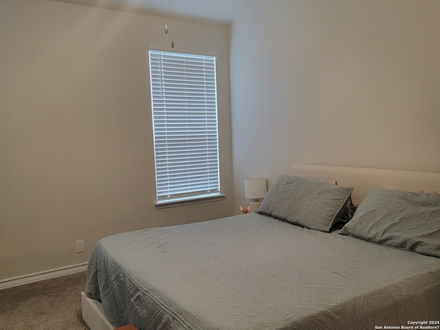609 Steele Shallows, , 78108 — photo 1